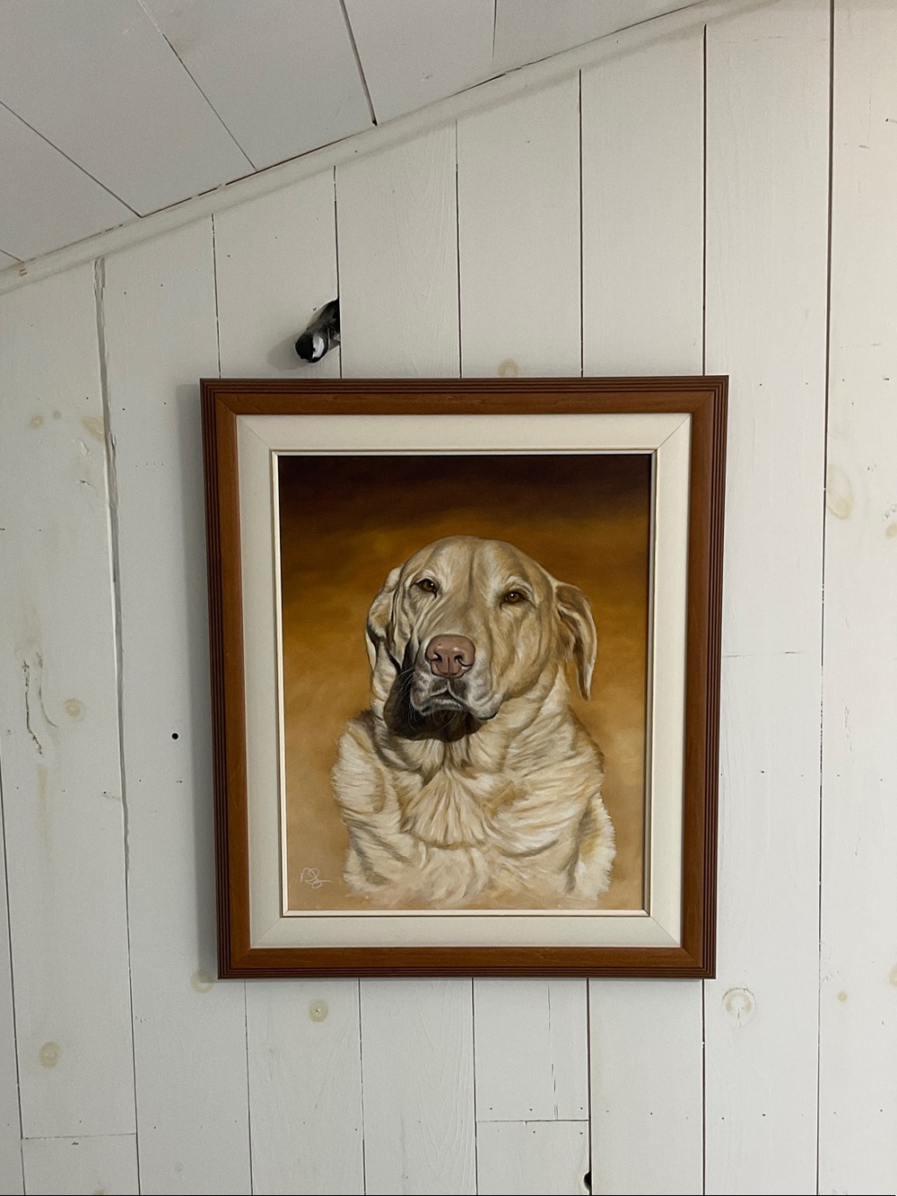 Portrait Painting of Golden Labrador